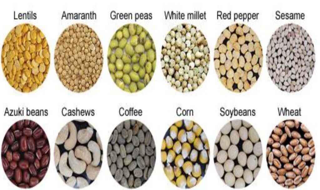 Different Types Of Grains