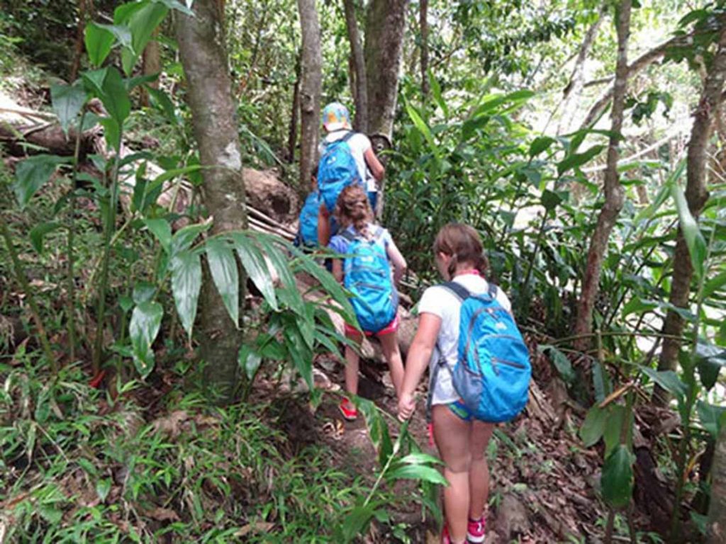 The family walks through the forest