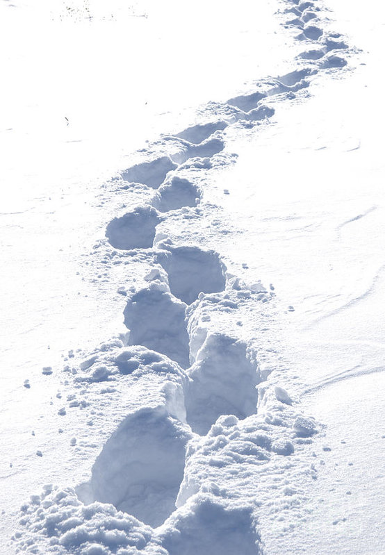 Bootprints-in-the-snow-gordon-warlow