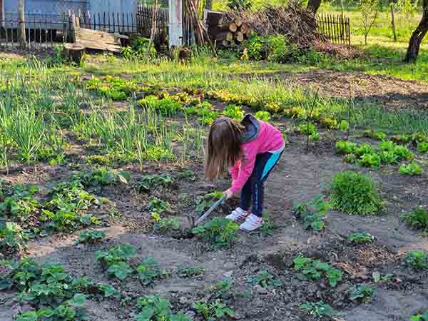 She takes care of vegetables