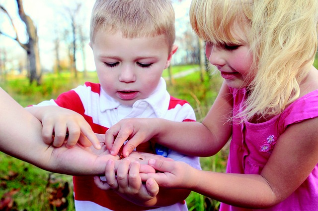 Children catch bugs