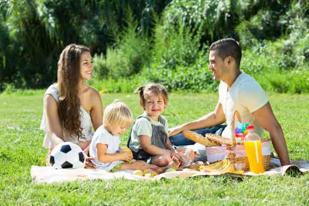 Family picnic